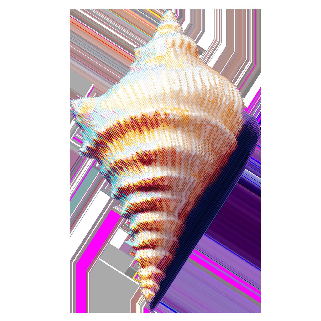 Shell — NFC seashell, web application, sound